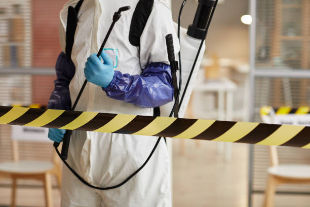 Professional Sewage Cleanup technician working in Yantic, CT